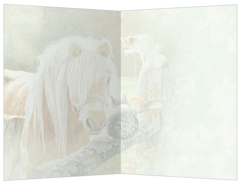 Tree-Free Greetings - All Occasion Cards - Artful Designs - 12 Greeting Cards + White Envelopes - Made in USA - 100% Recycled Paper - 4 x 6 - Just Visiting (FS66526) - Image 2
